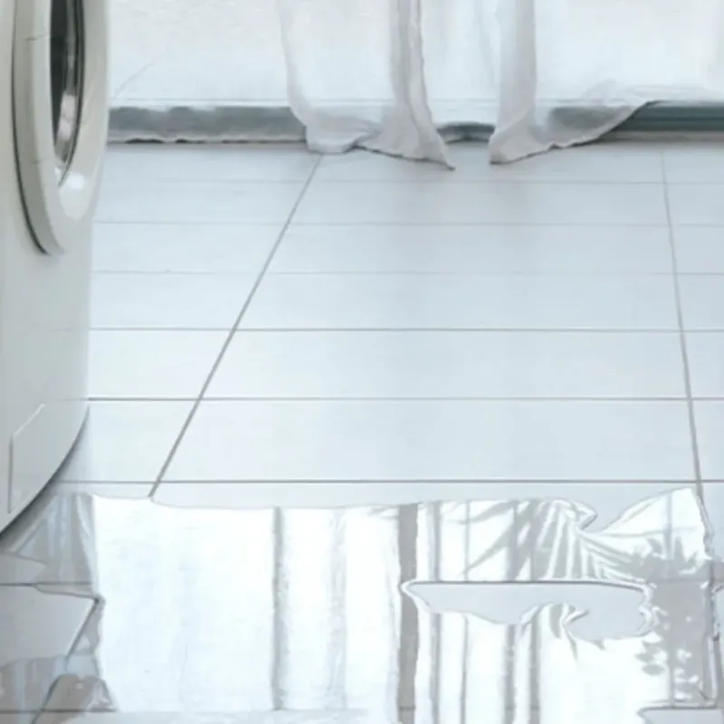 Appliance Leak Cleanup in Indiantown, FL